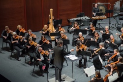 MSO Photo